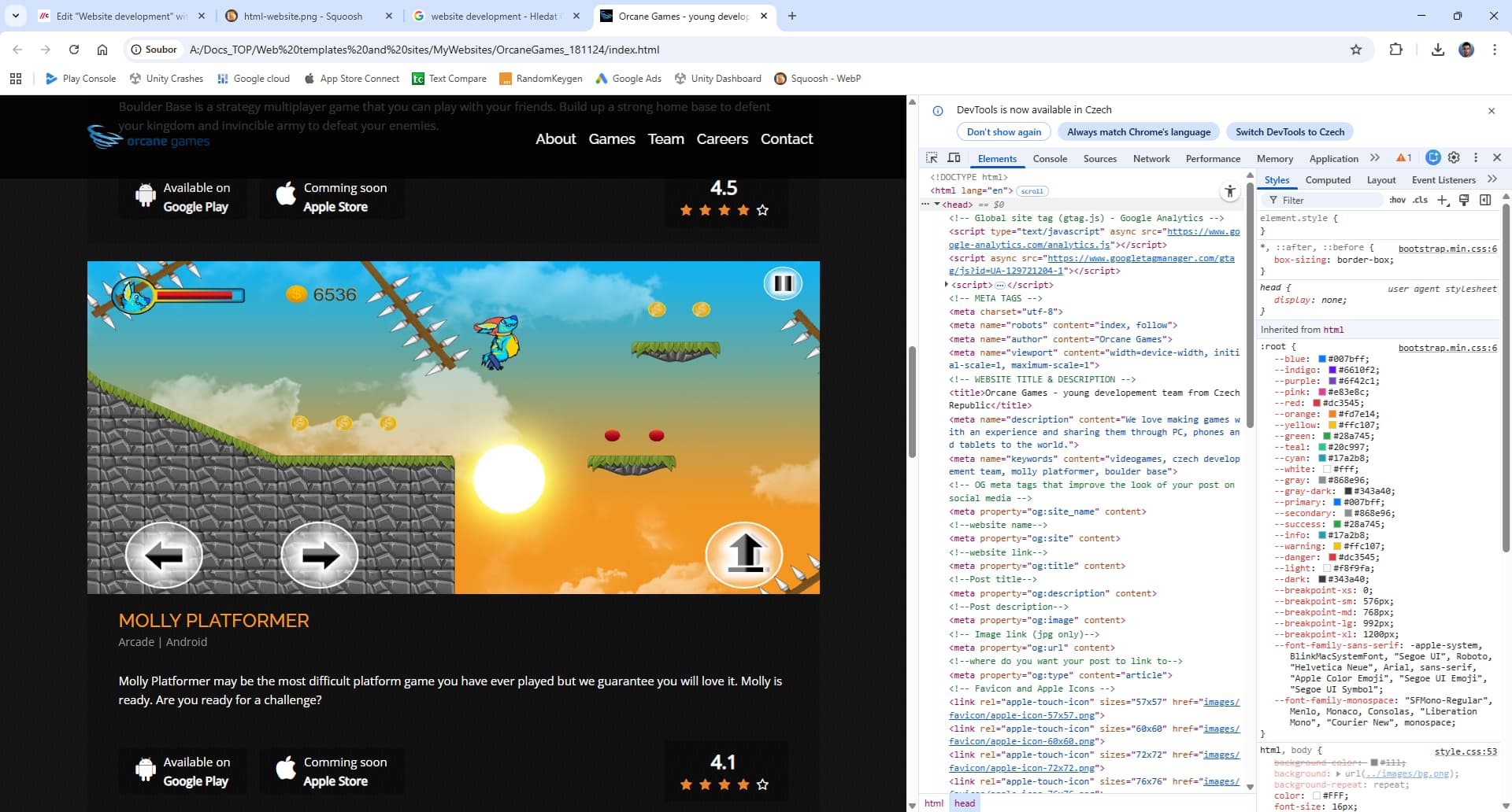 Website Development 1